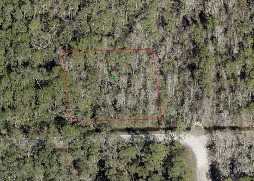 Blossom Rd Property Photo 1