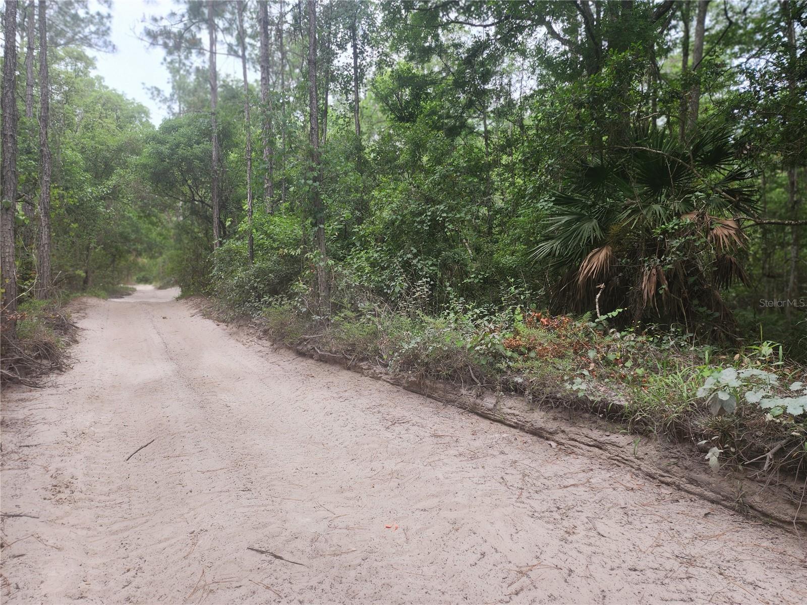 12th Ave Deland Property Photo 9