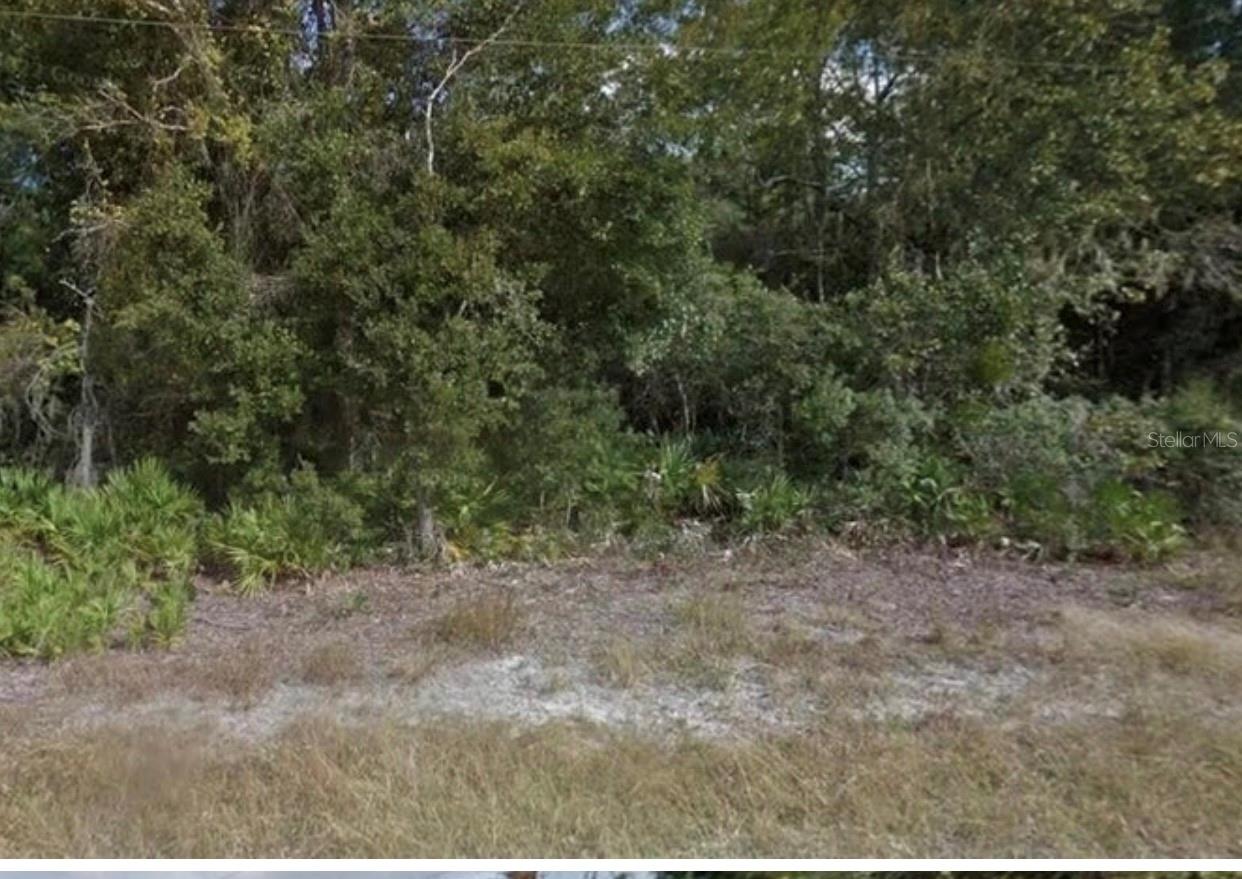 0 Mitchell Ave Property Photo 3