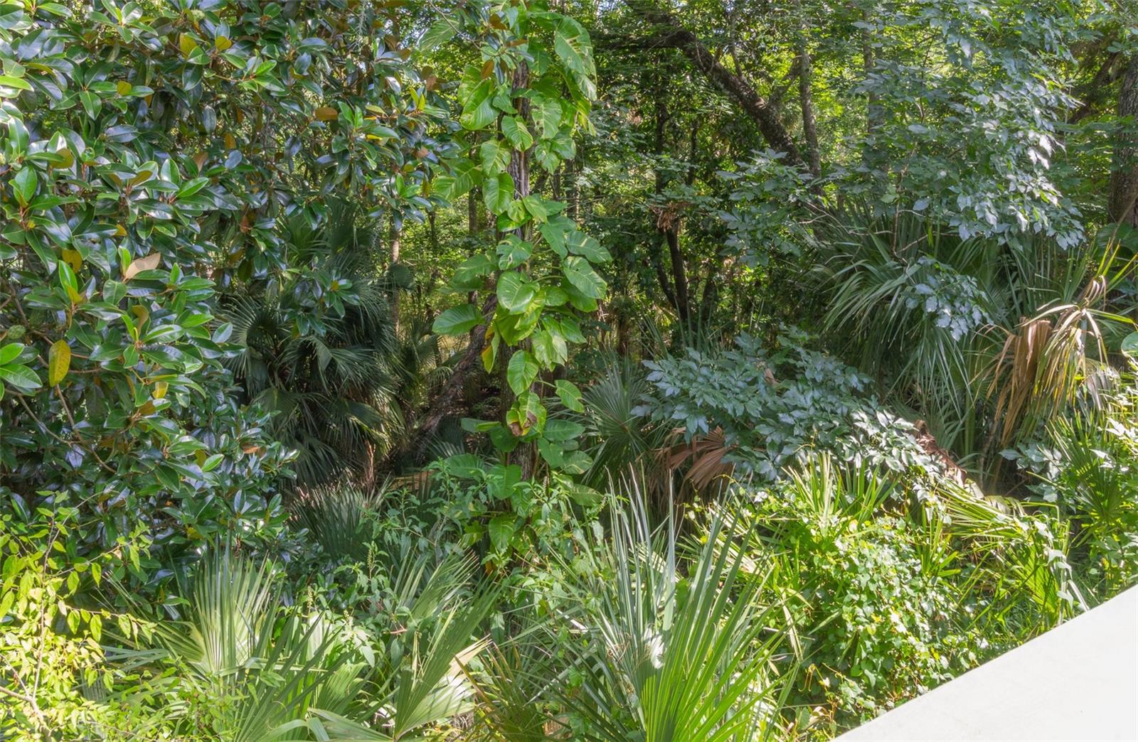 1839 Spruce Creek Blvd Property Photo 32