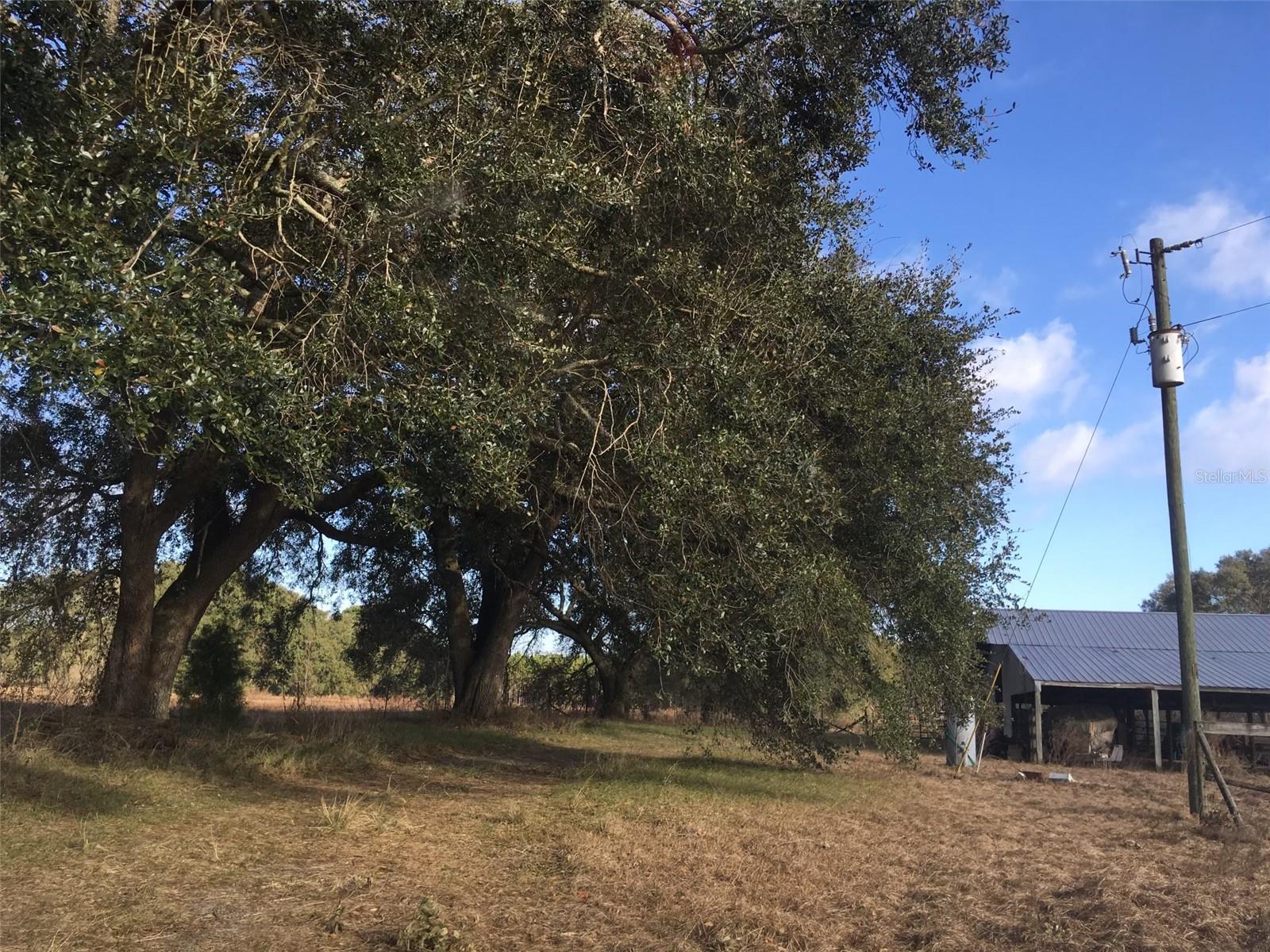 15589 104th St Property Photo 8
