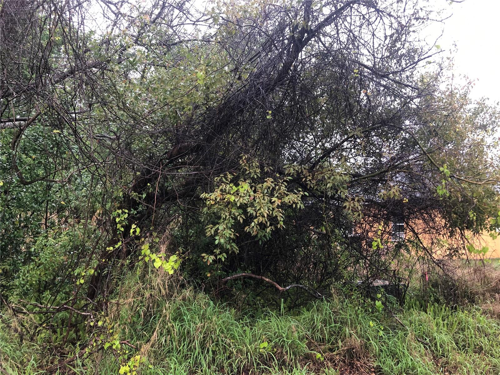 2563 CAPTAIN DR Property Photo 1