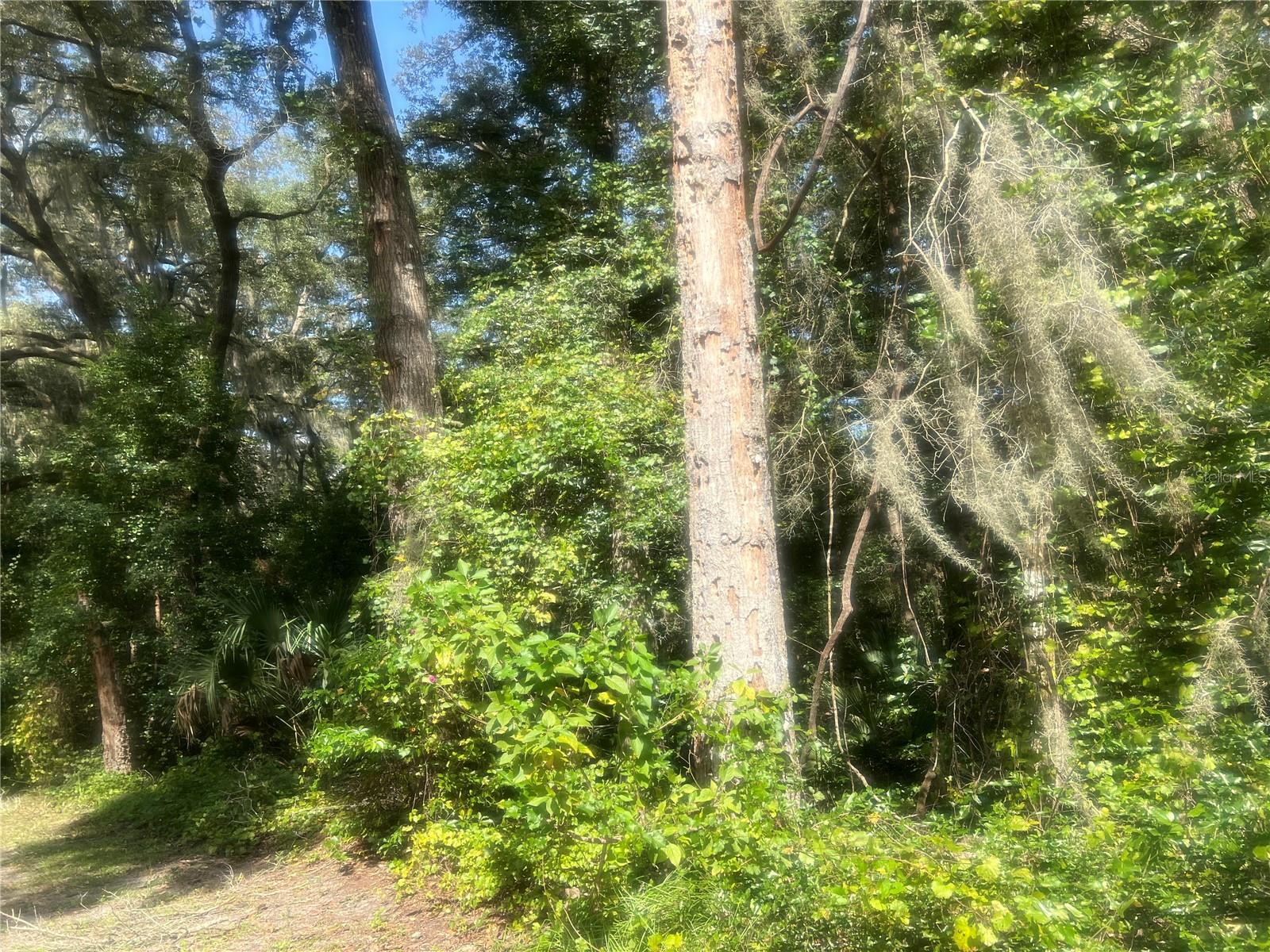 1215 Arredondo Grant Rd Property Photo 1