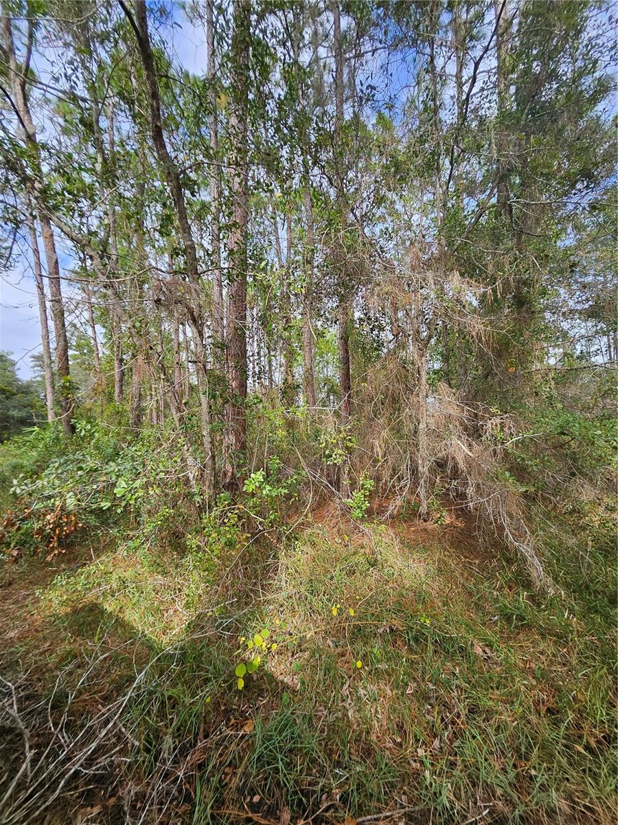 V4939261 Property Photo 1