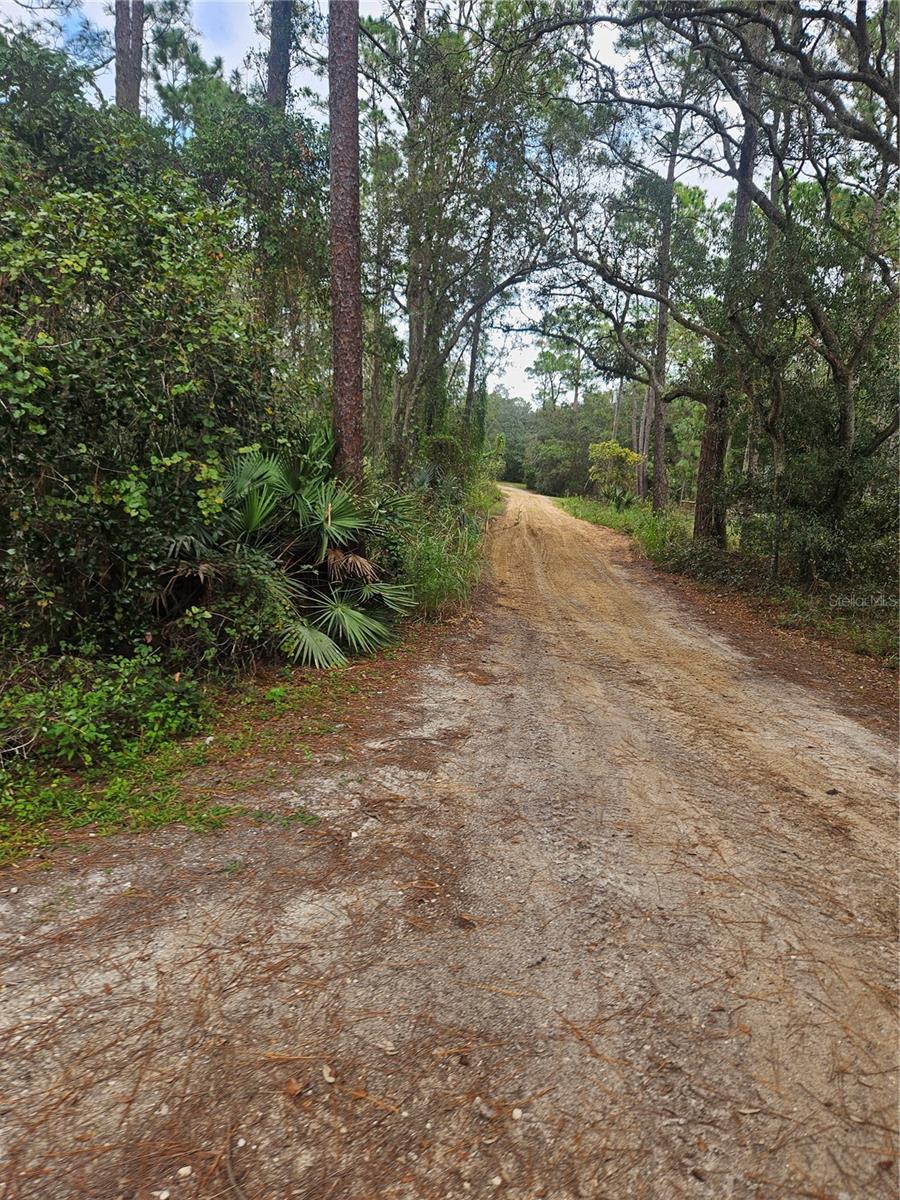 V4939261 Property Photo 6