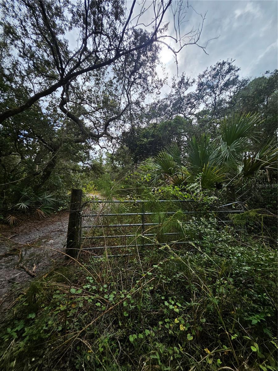 V4939261 Property Photo 7