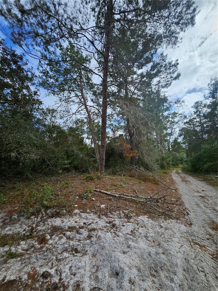 V4939261 Property Photo 11