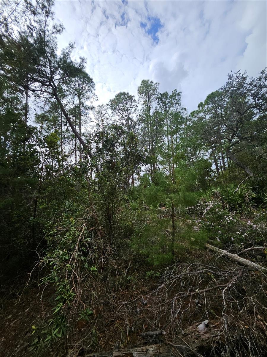 V4939261 Property Photo 12