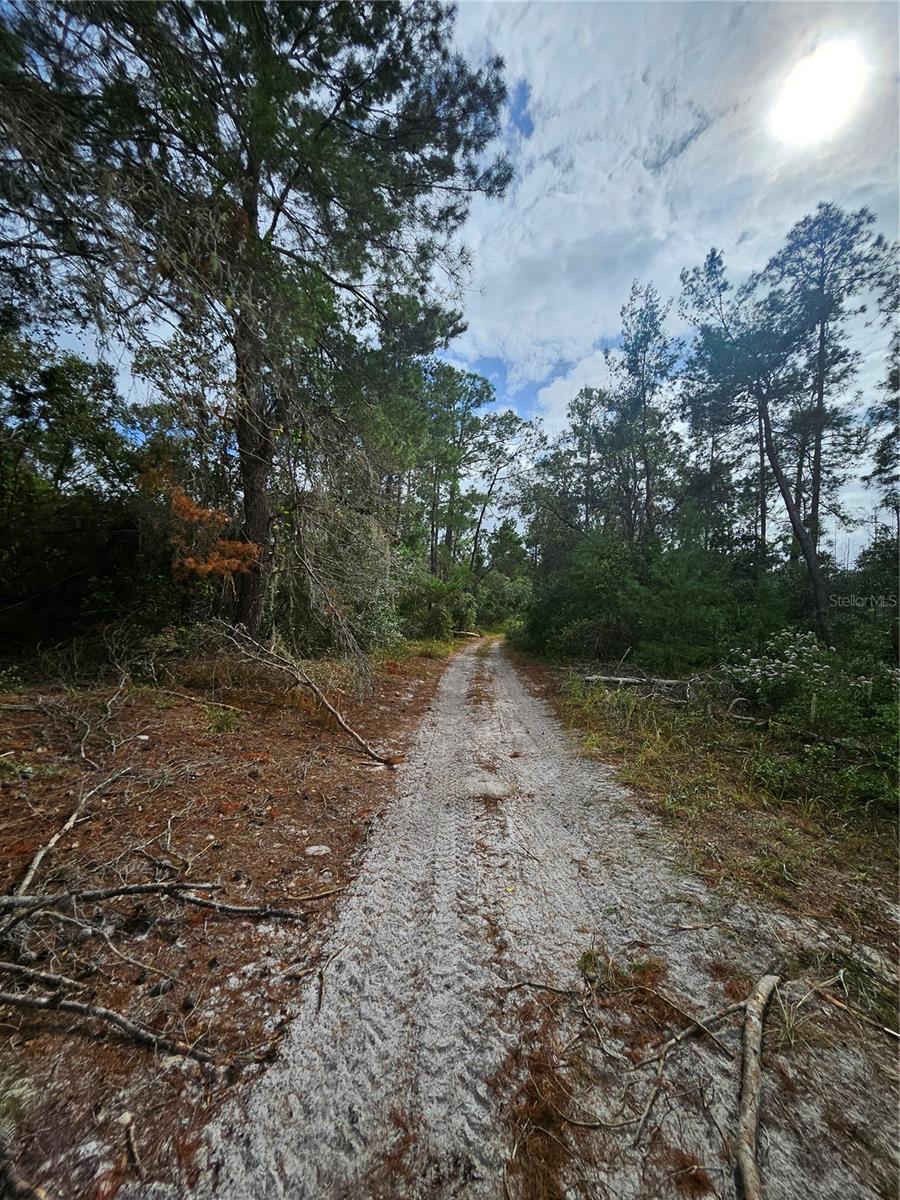 V4939261 Property Photo 13