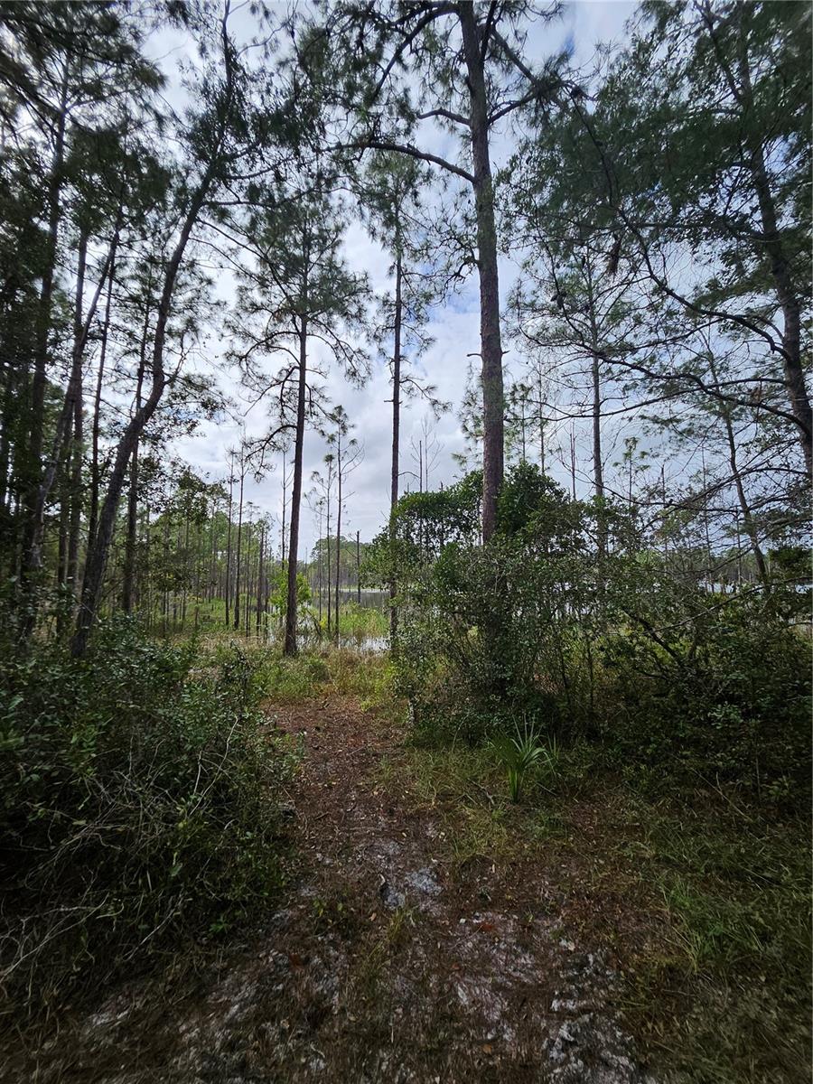 V4939261 Property Photo 15