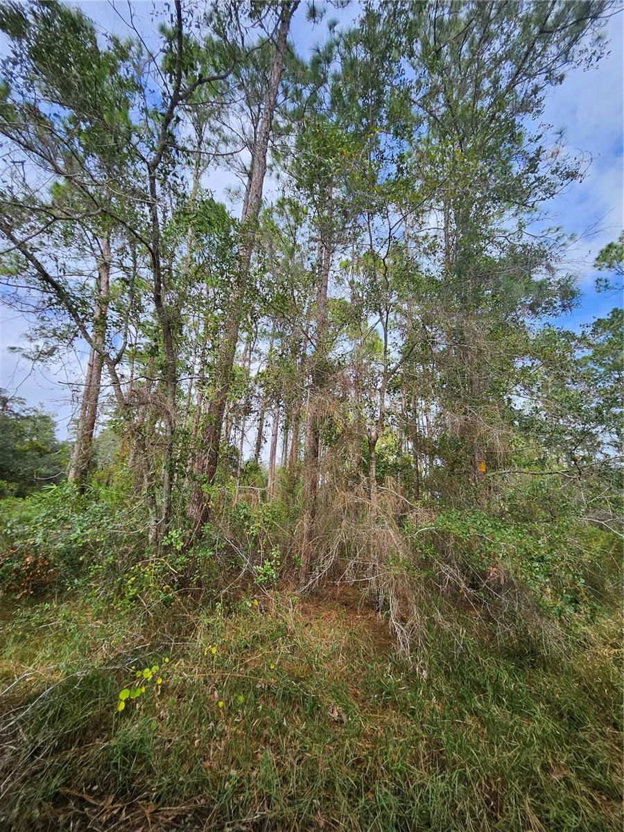 V4939261 Property Photo 16