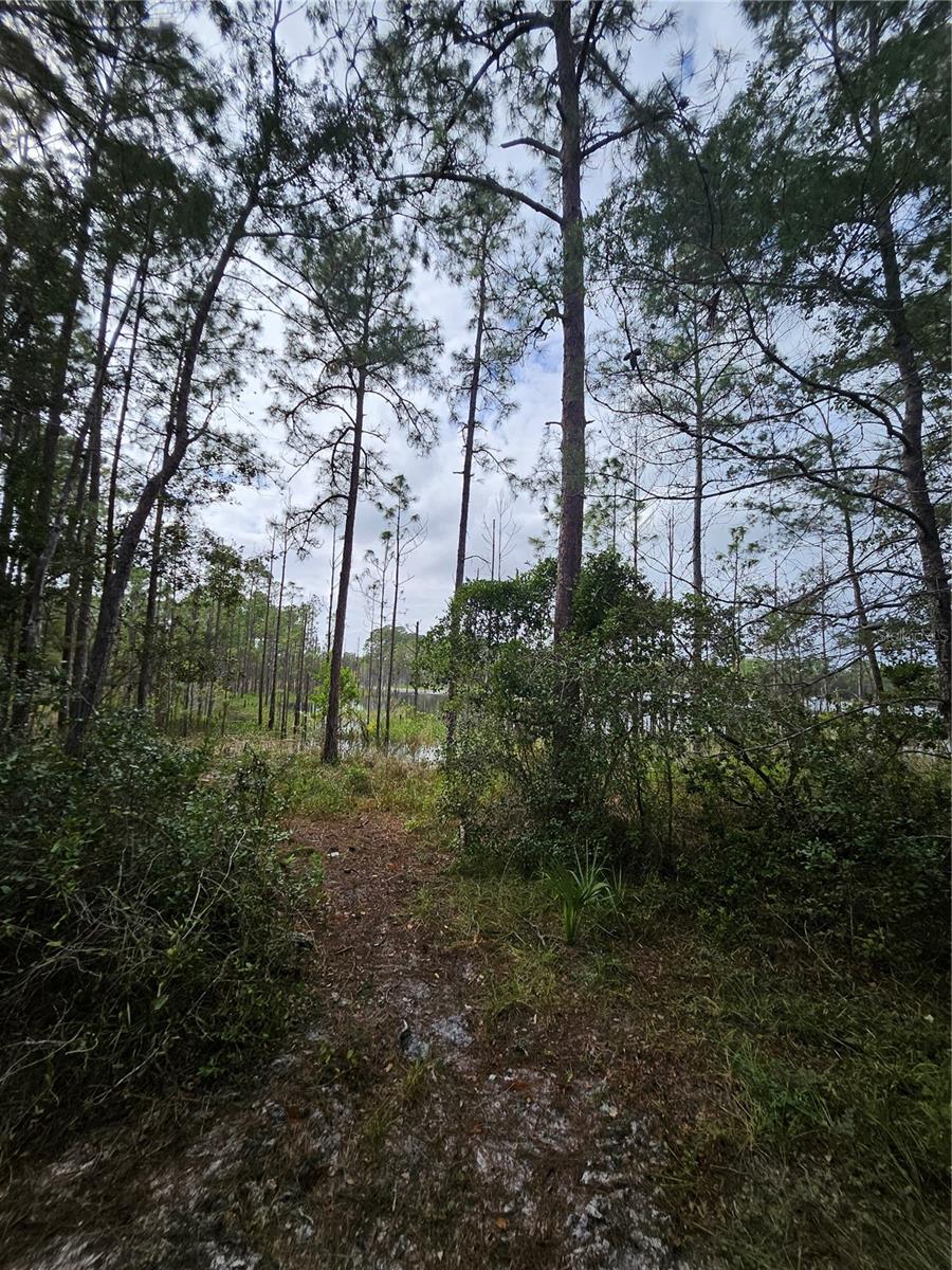 V4939261 Property Photo 18