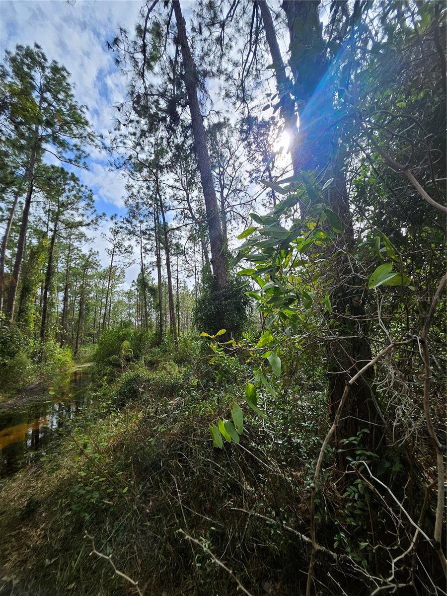 V4939261 Property Photo 20