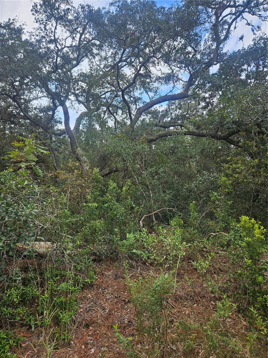 V4939261 Property Photo 25
