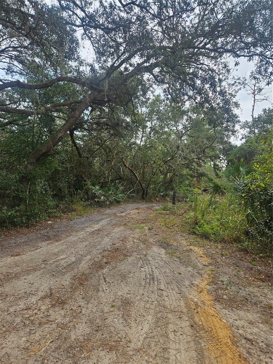 V4939261 Property Photo 28