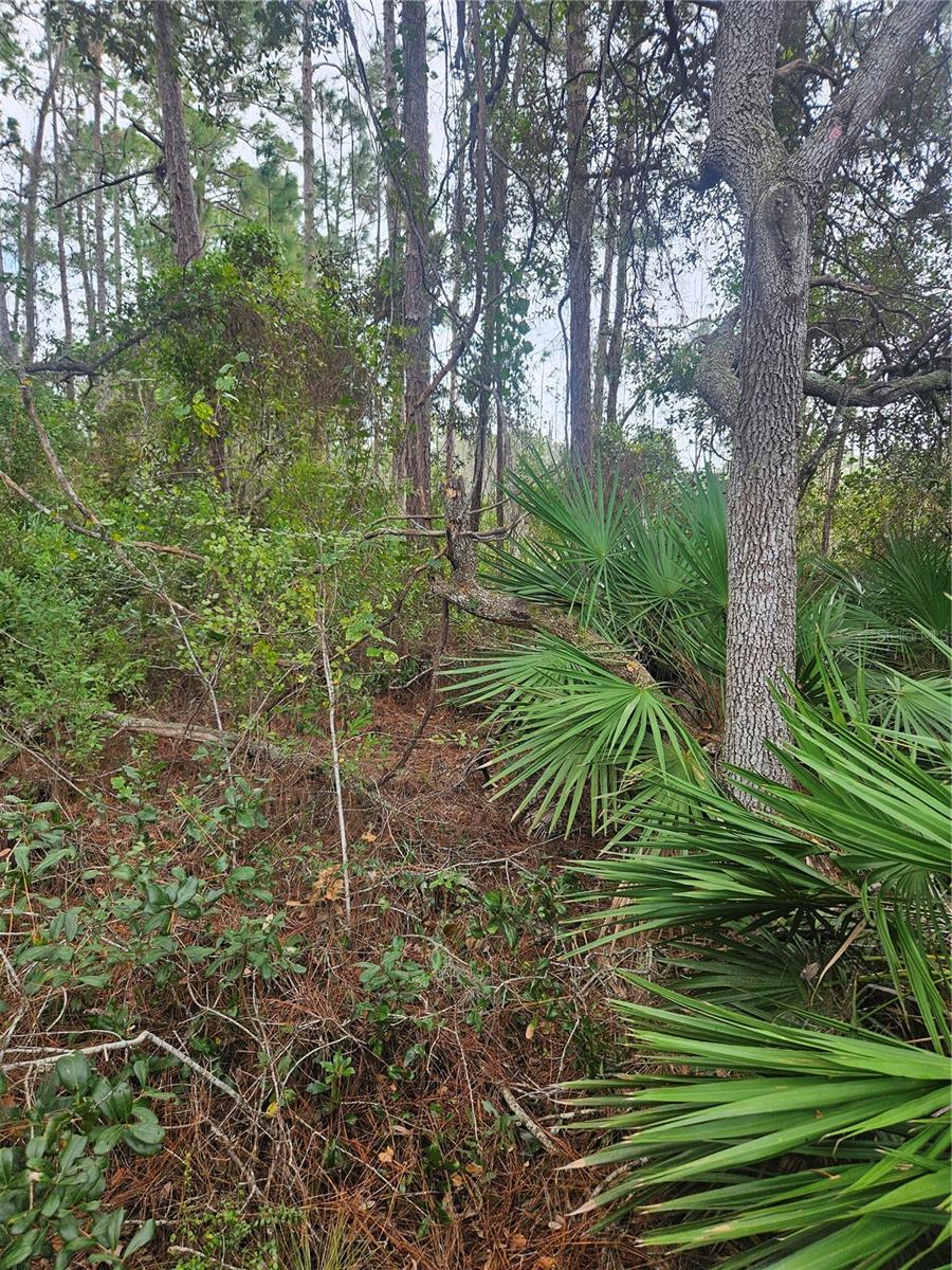V4939261 Property Photo 29