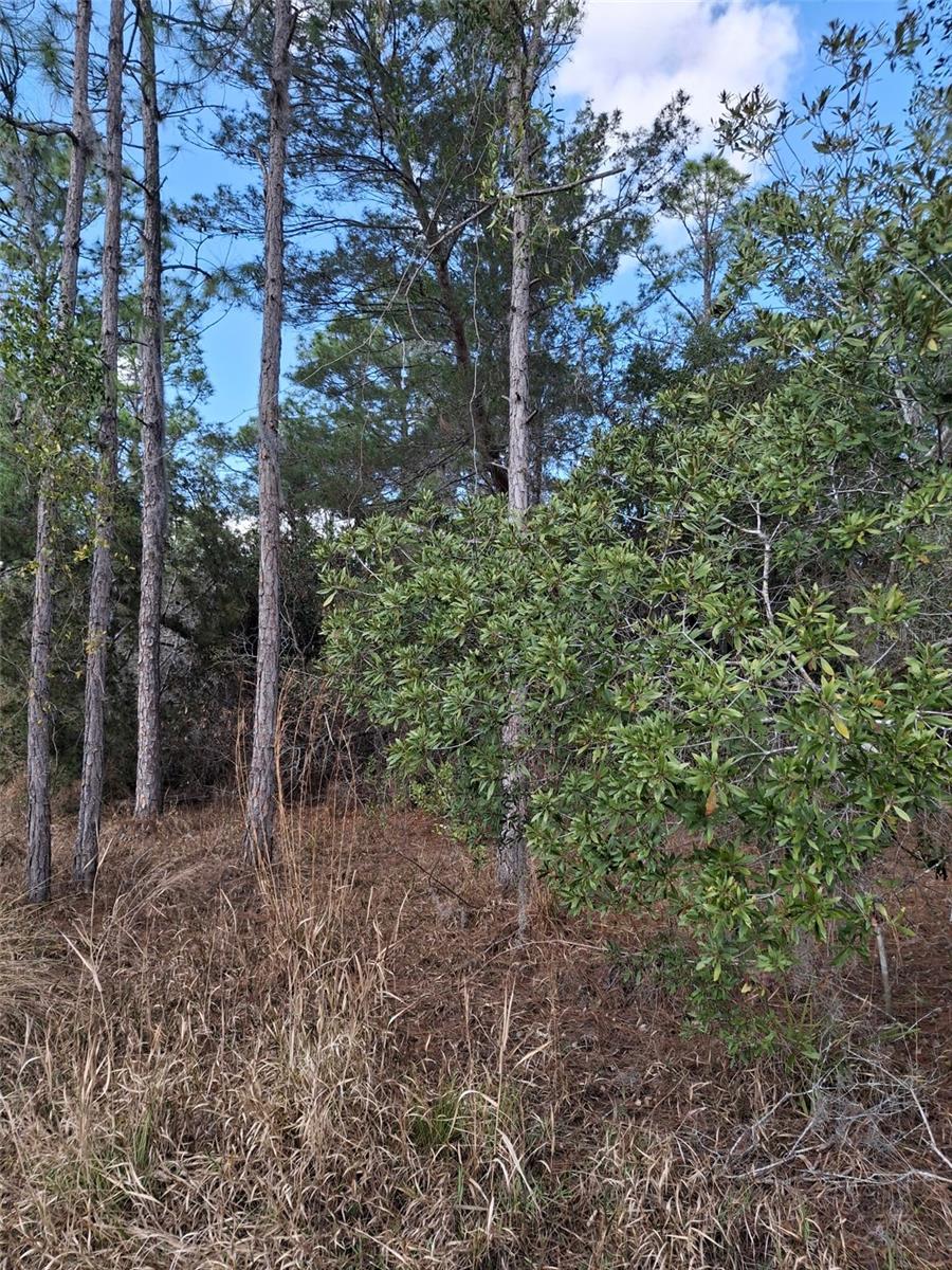 V4939261 Property Photo 32