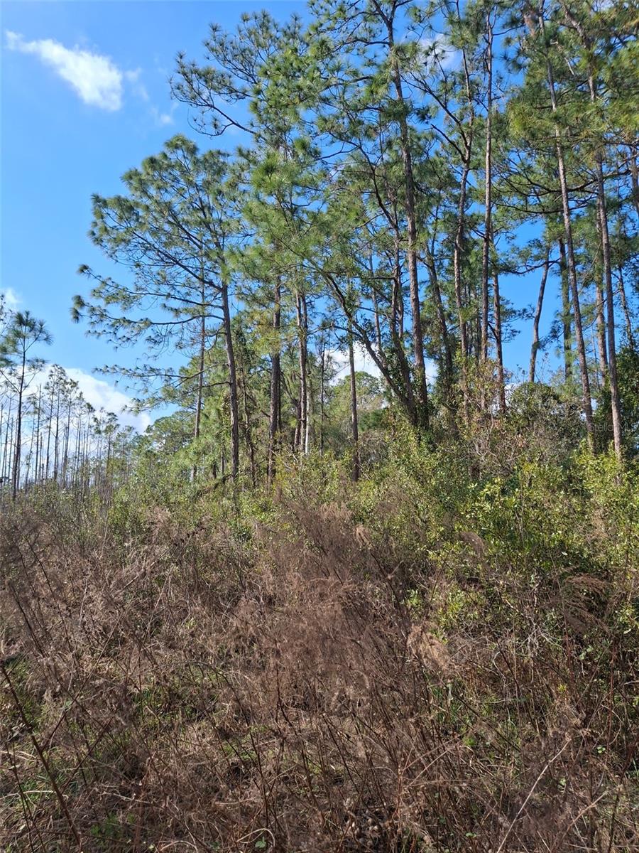 V4939261 Property Photo 33