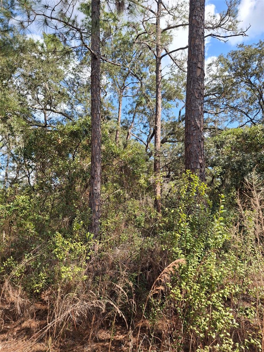 V4939261 Property Photo 35
