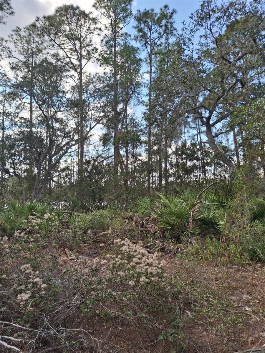 V4939261 Property Photo 37