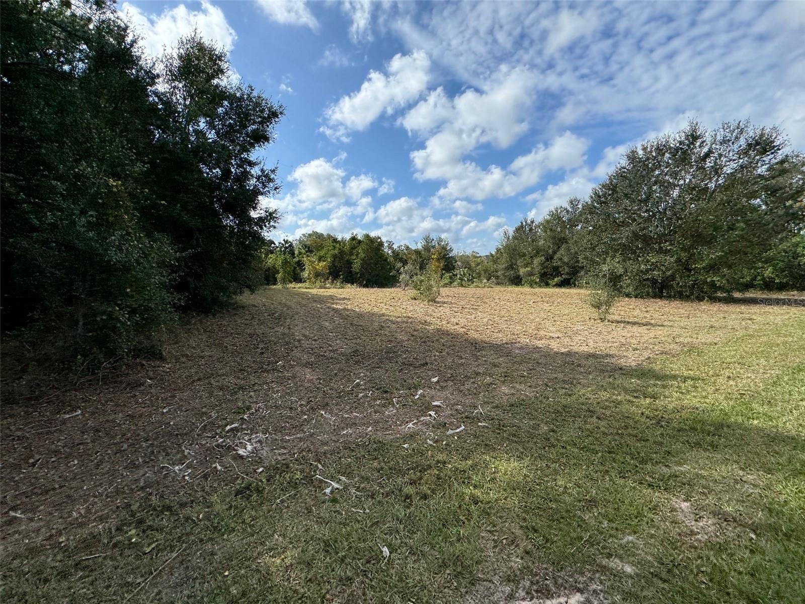 214 W International Speedway Blvd Property Photo 28