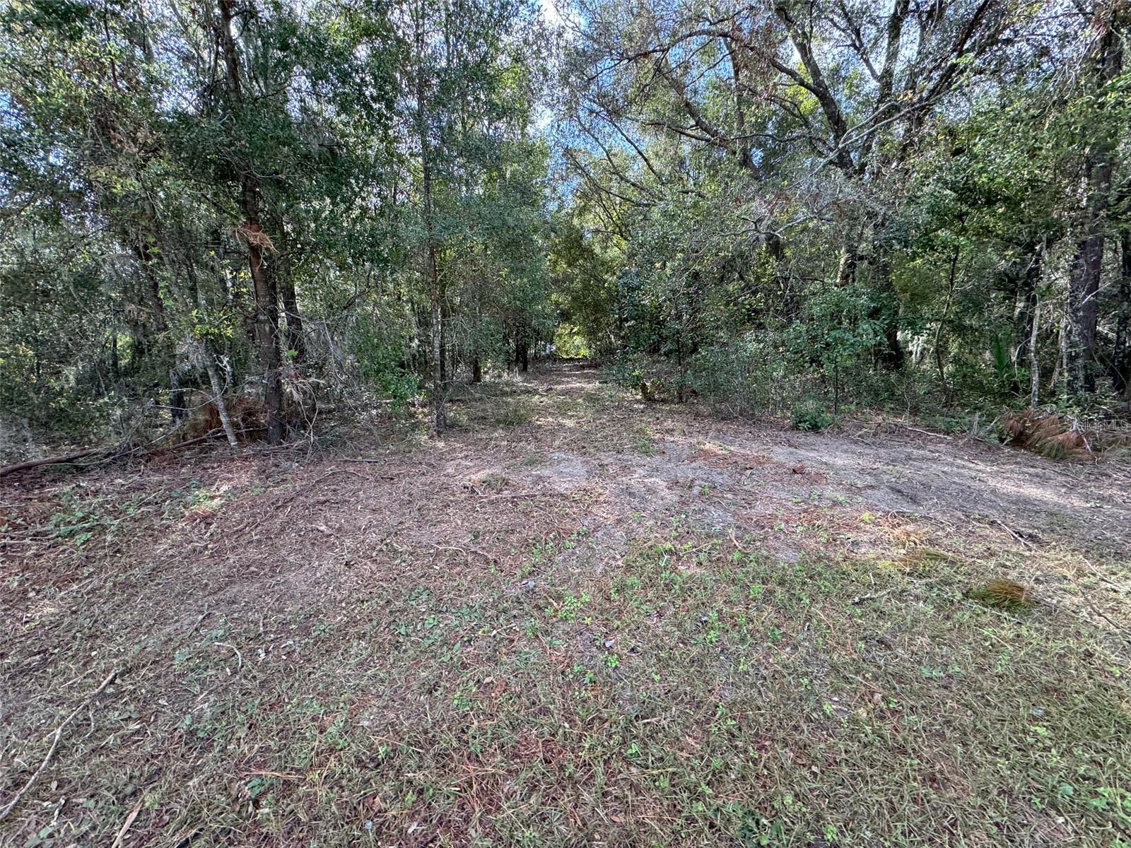 214 W International Speedway Blvd Property Photo 31