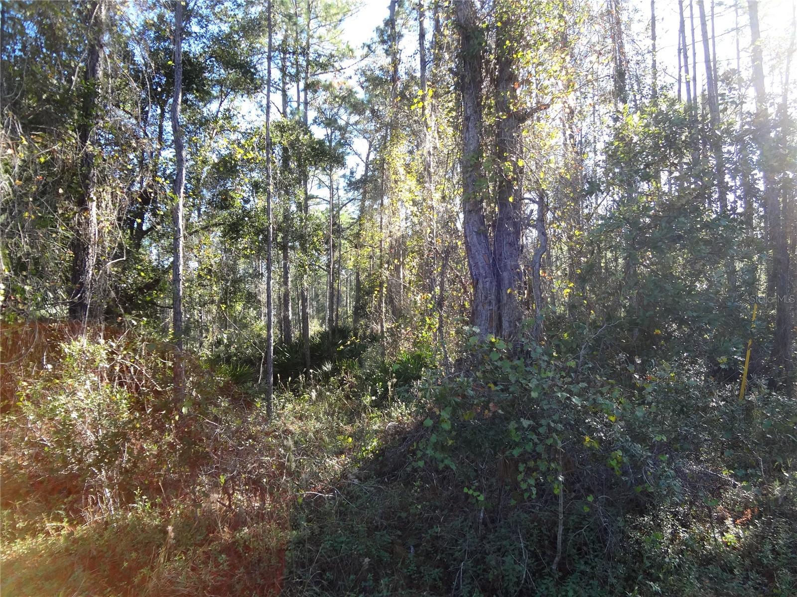 12th Ave Property Photo 2