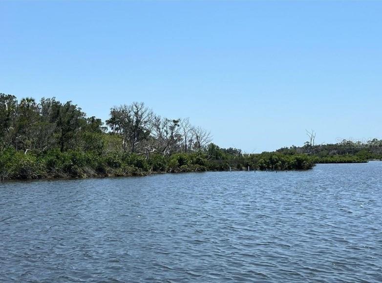 50 Carnahans Property Photo 7