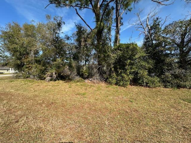 2931 Lake Helen Osteen Rd Property Photo