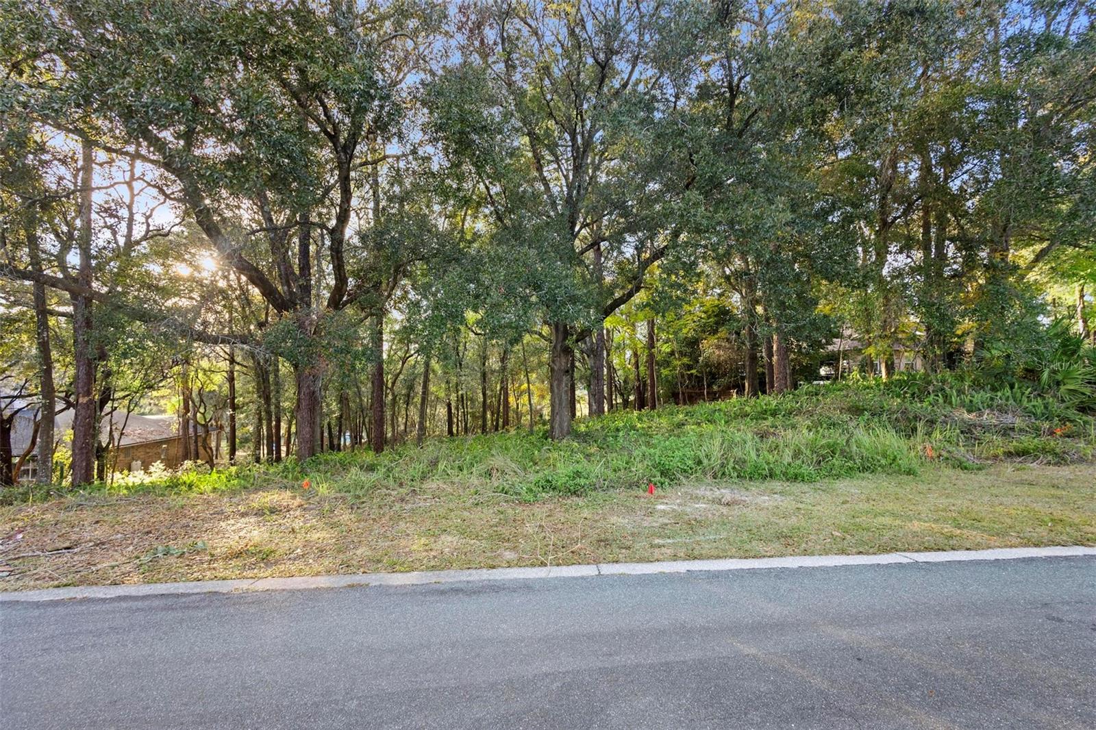 1482 Covered Bridge Dr Property Photo 5