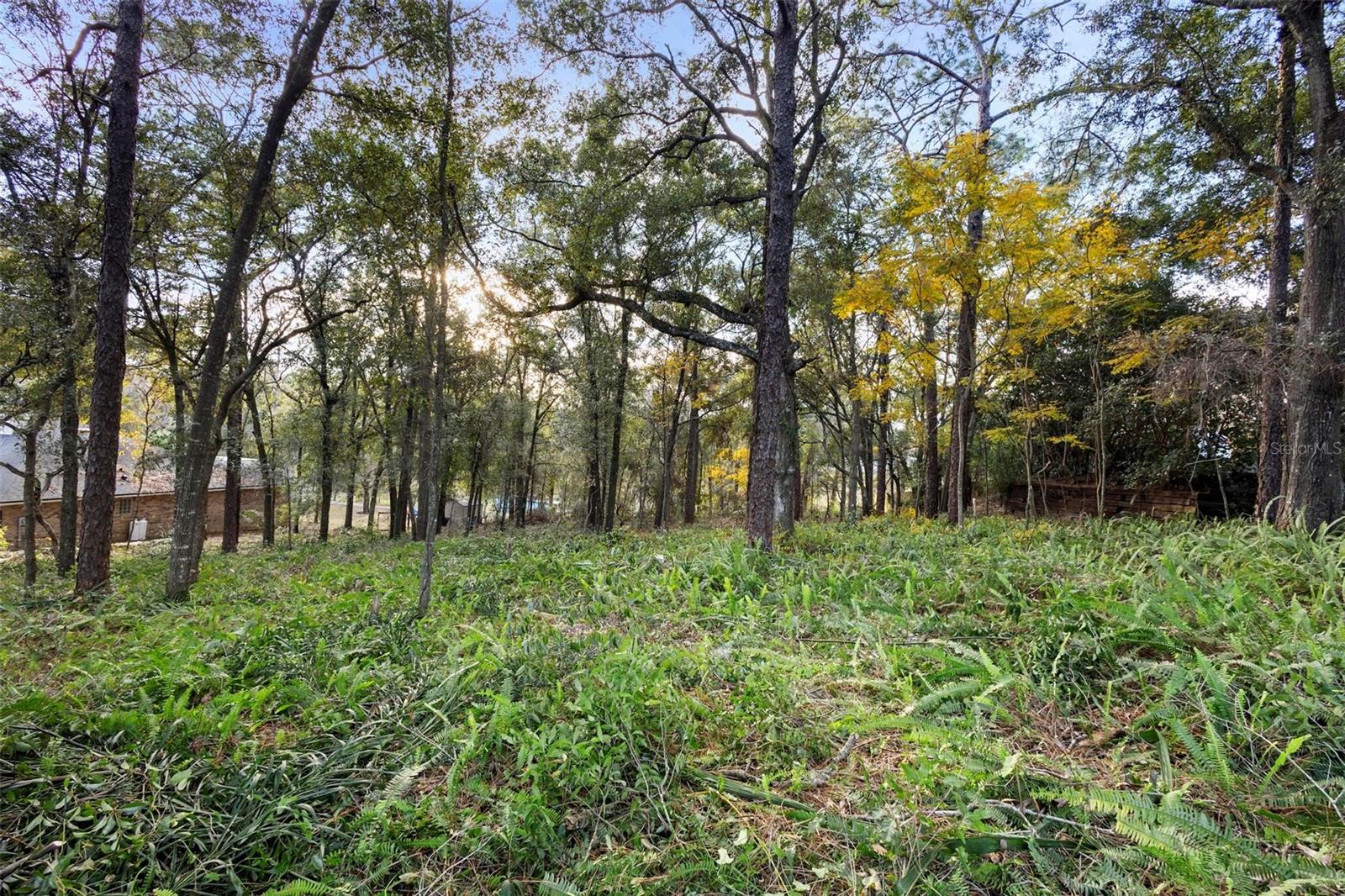 1482 Covered Bridge Dr Property Photo 6