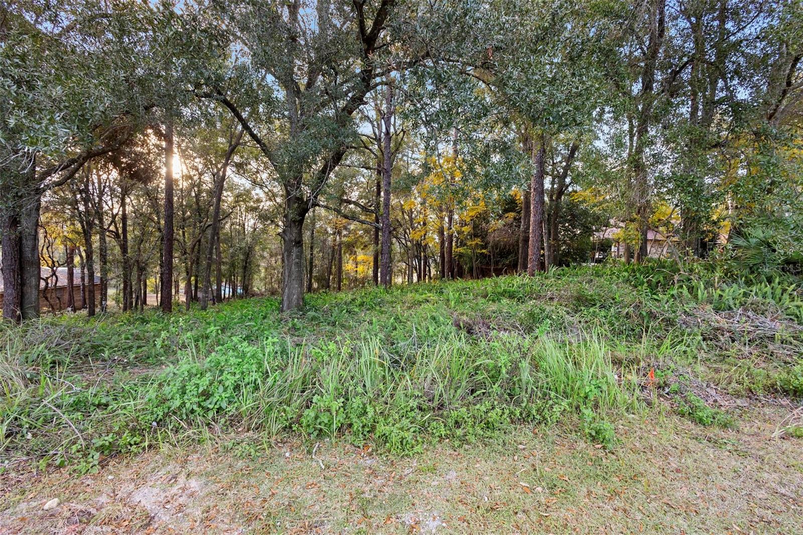 1482 Covered Bridge Dr Property Photo 8
