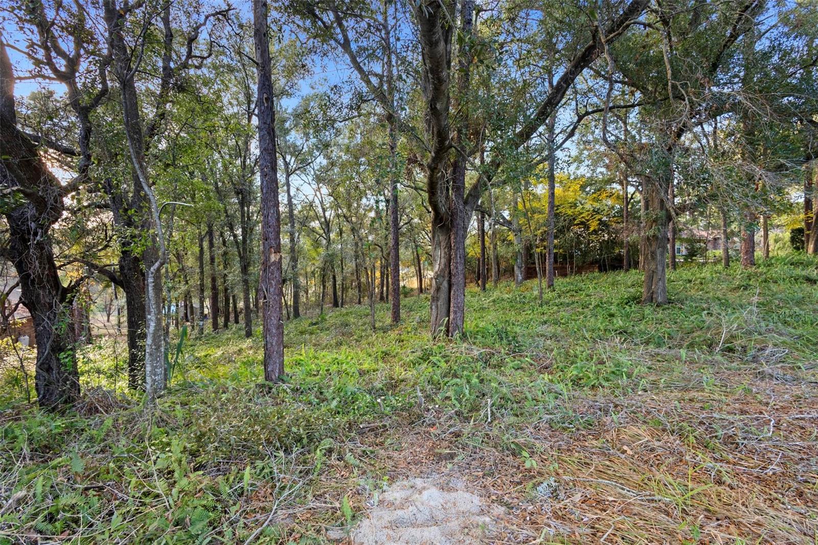 1482 Covered Bridge Dr Property Photo 12