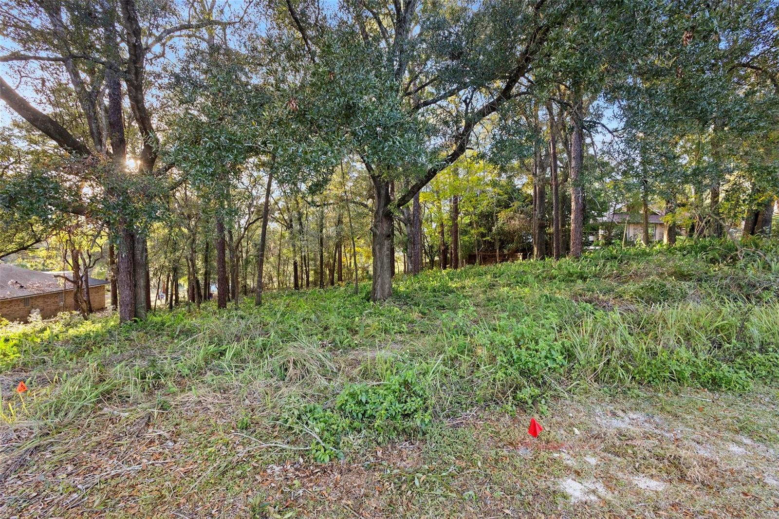 1482 Covered Bridge Dr Property Photo 13