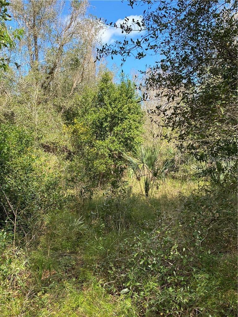 W Beresford Rd Property Photo 1