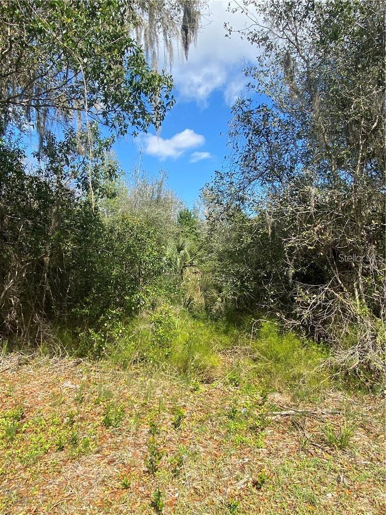 W Beresford Rd Property Photo 2