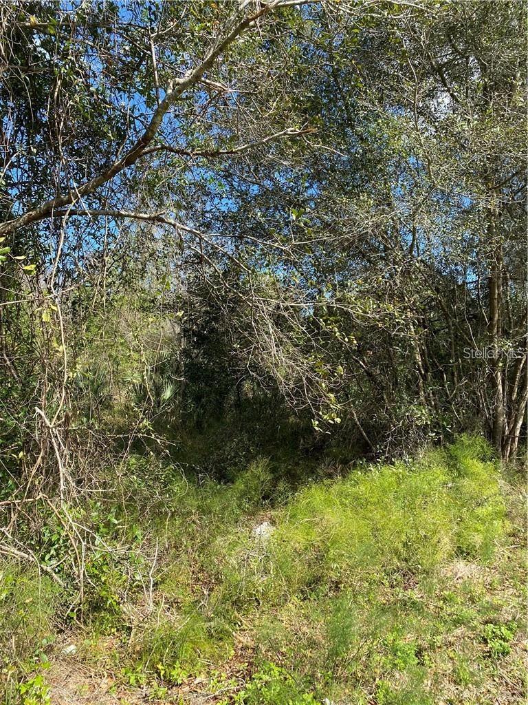 W Beresford Rd Property Photo 3