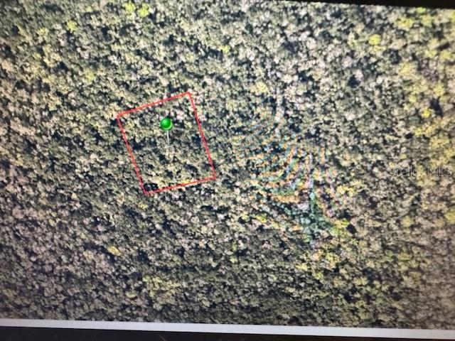 None Property Photo