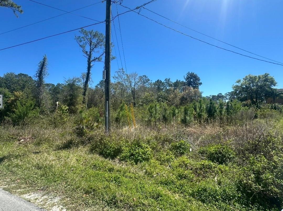 2548 E LAKE DR Property Photo 1
