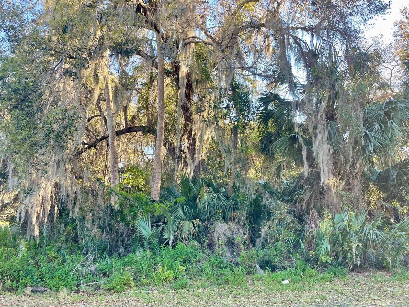 Osteen Maytown Rd Property Photo
