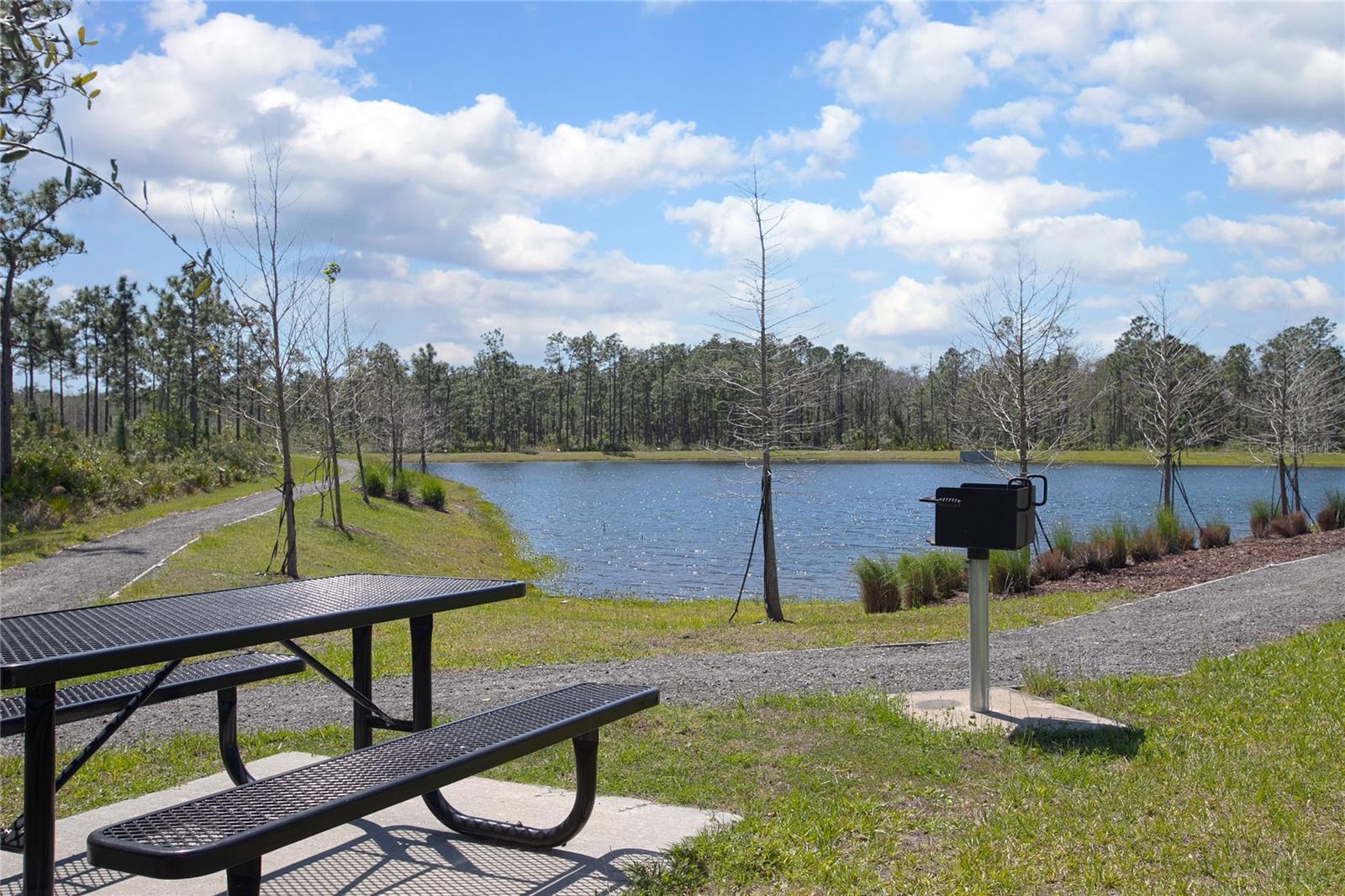 6033 Arbor Watch Loop Property Photo 29