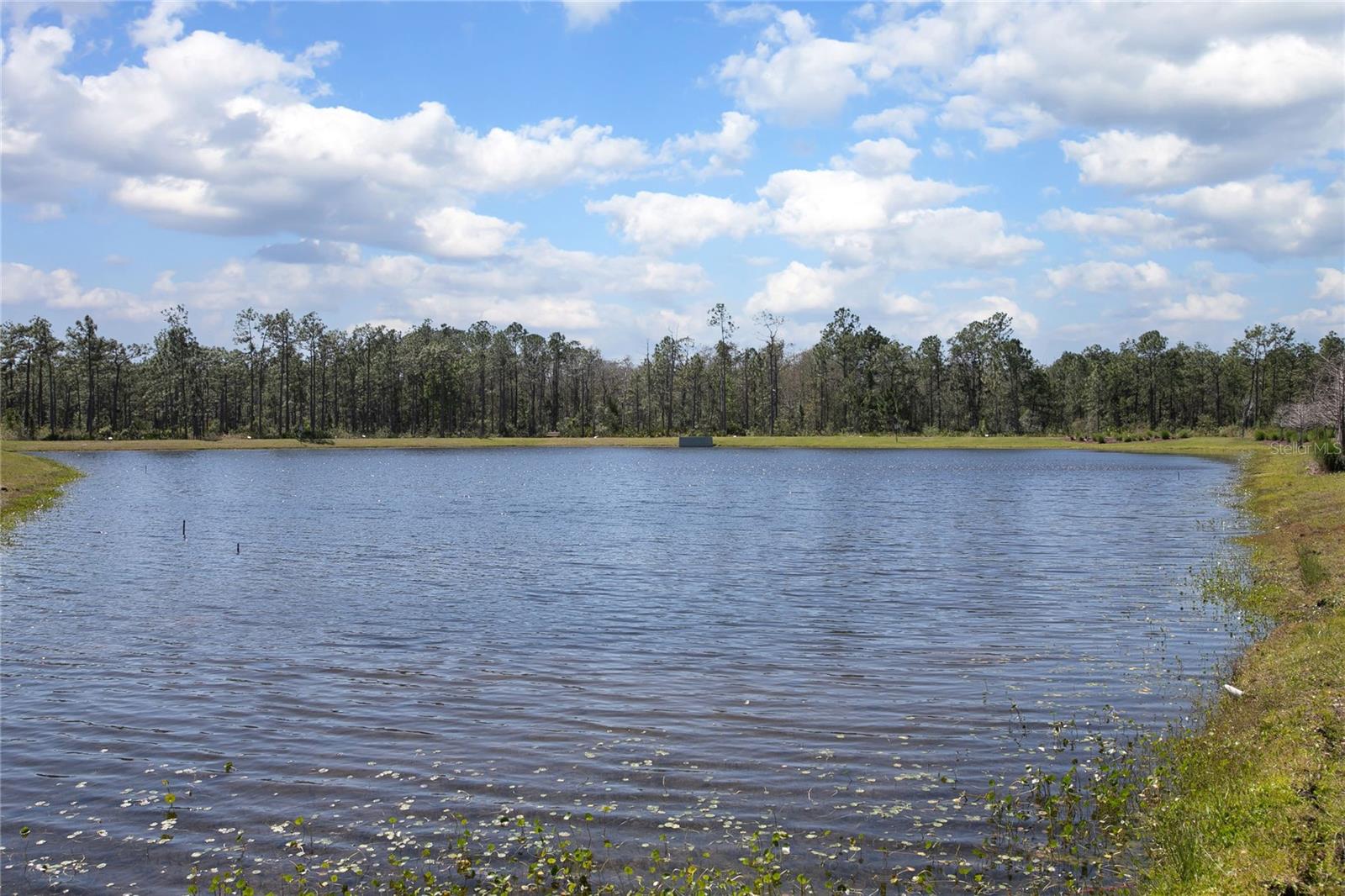 6033 Arbor Watch Loop Property Photo 30