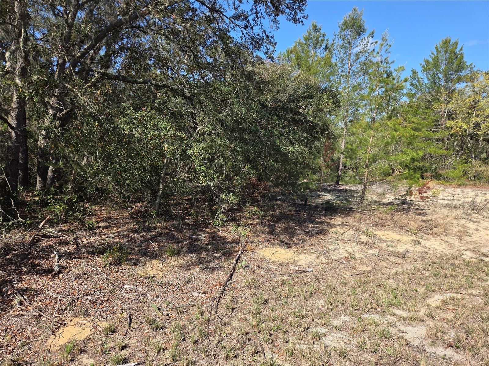 Fisher Trace Run Property Photo