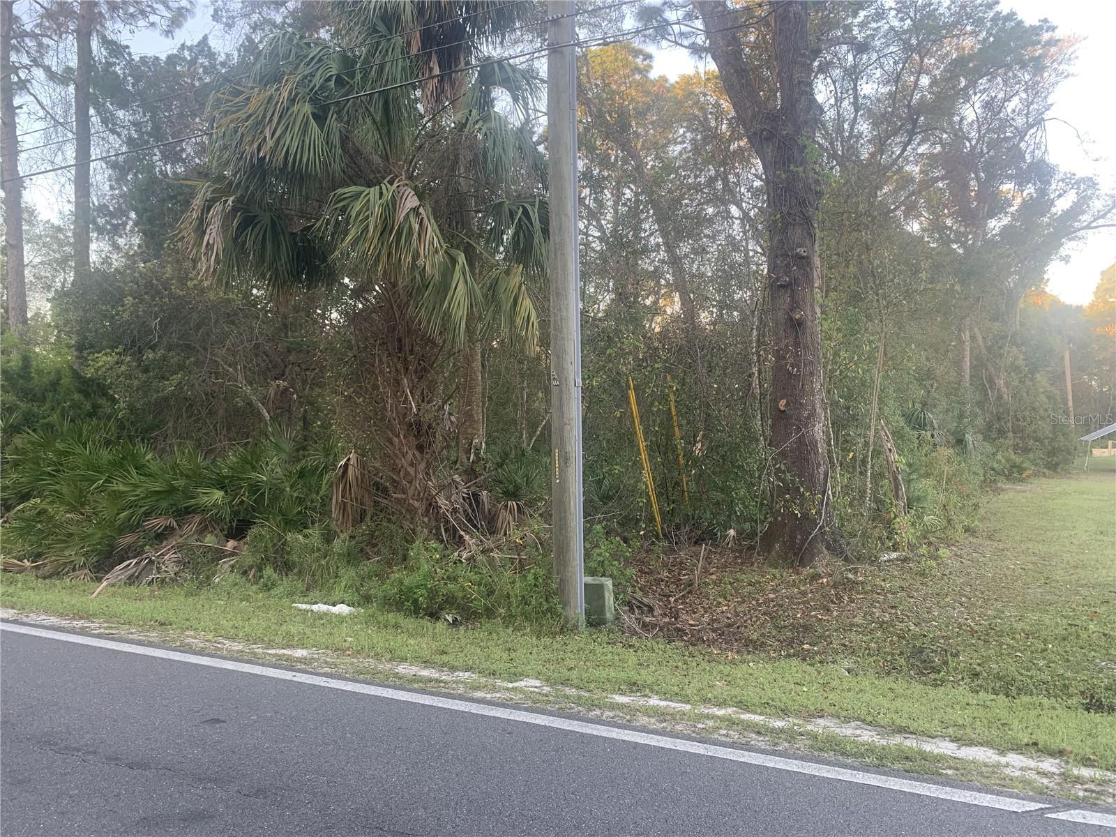 S Volusia Ave Property Photo