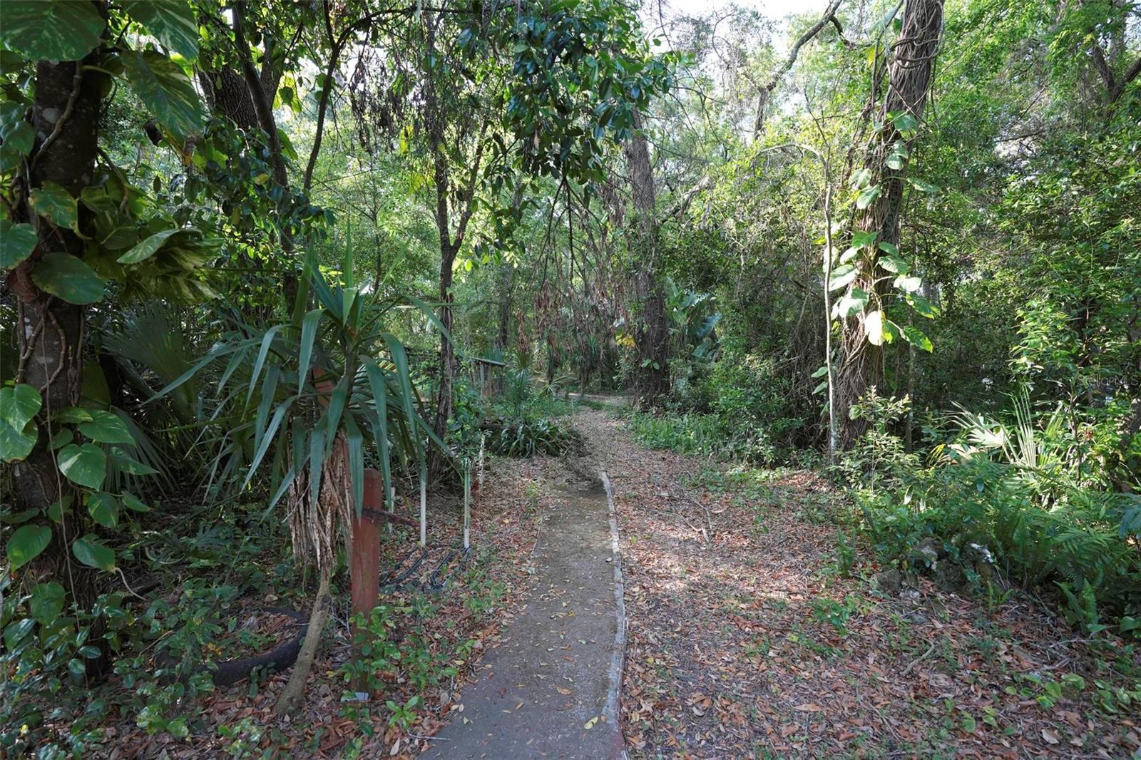 V4941760 Property Photo 12
