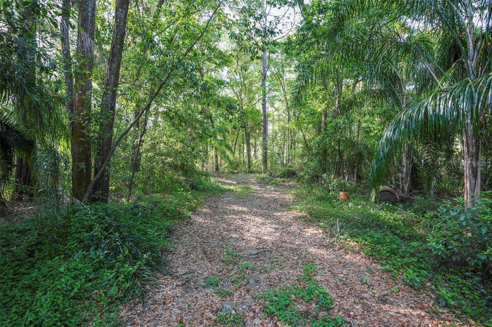 V4941760 Property Photo 24
