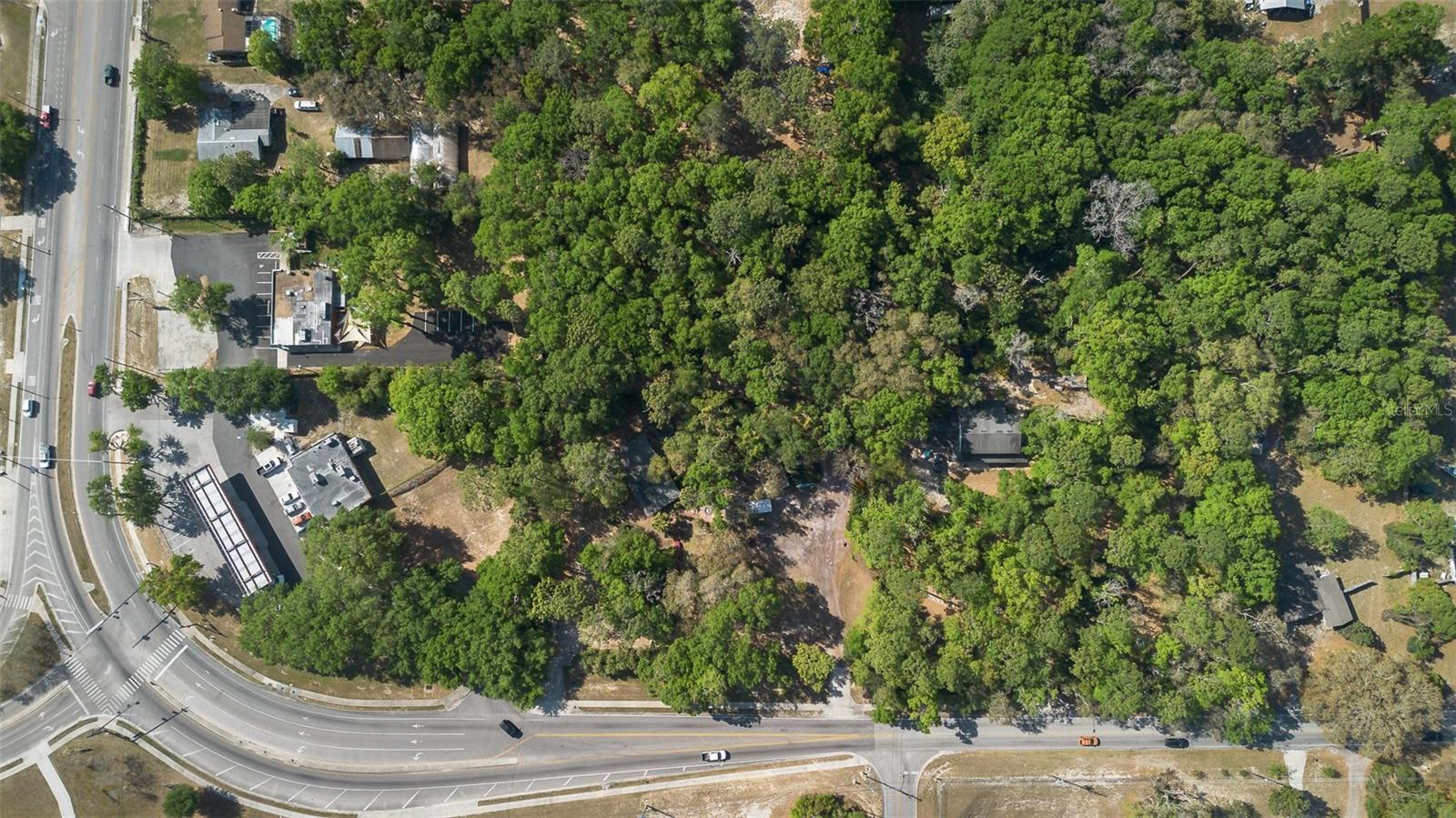 Kelly Park Rd E Property Photo 14