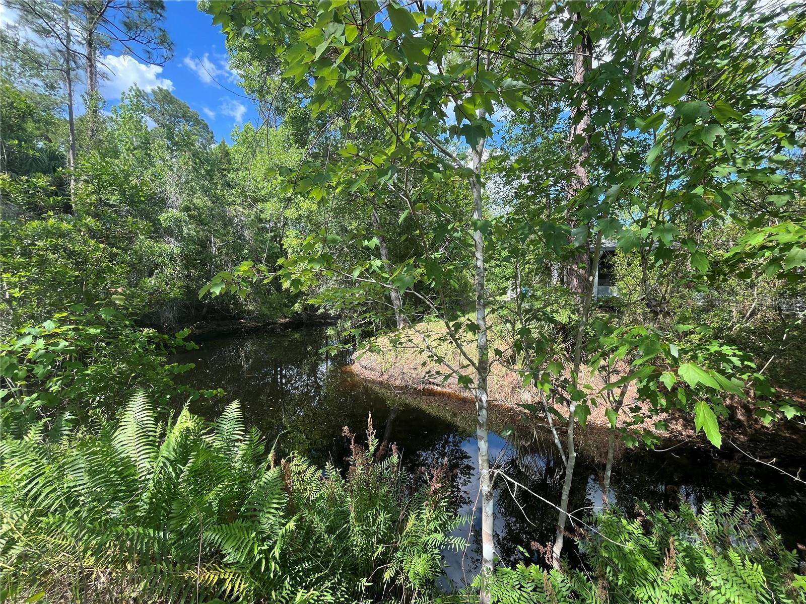 115 Cove Rd Property Photo