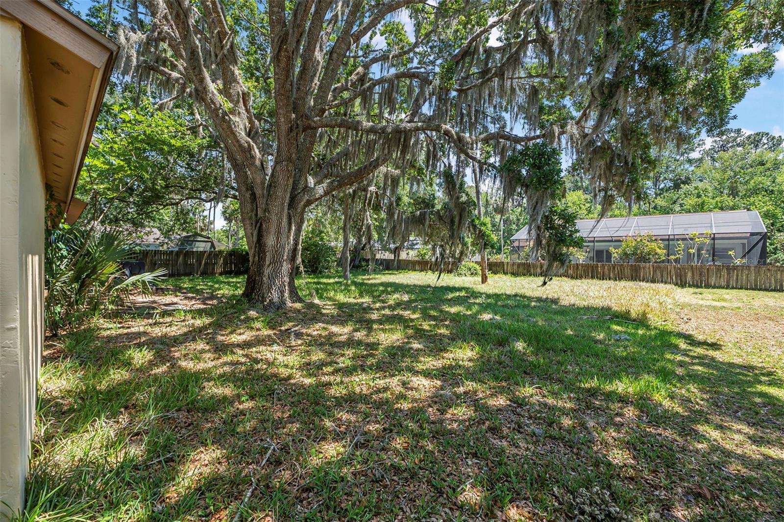 55 Blakemore Dr Property Photo 19