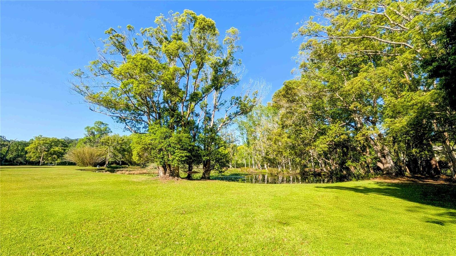 150 Lake Charles Rd Property Photo 35